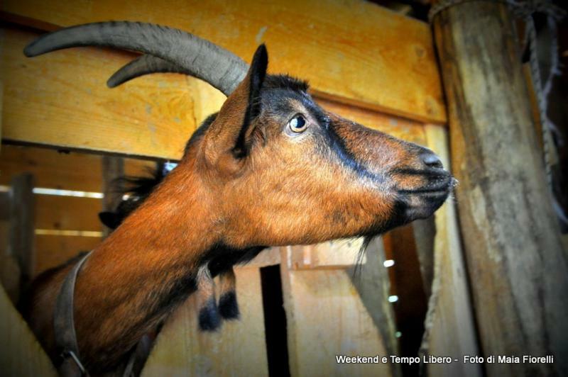 Agriturismo Slowcanda Cardella エクステリア 写真